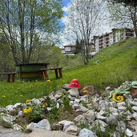 Apartment Wood Fireplace Duplex Near - Parking, Sleeps 6