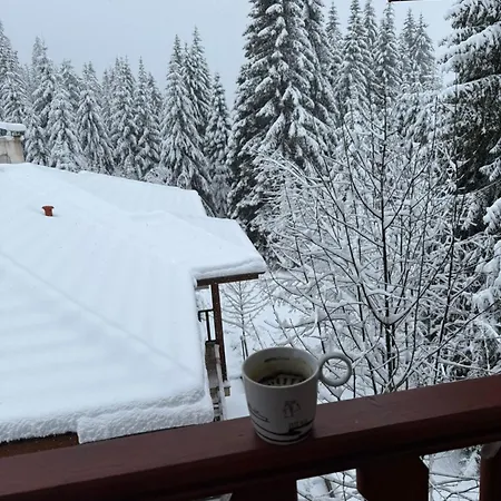 Wood Fireplace Duplex Near - Parking, Sleeps 6 Apartment