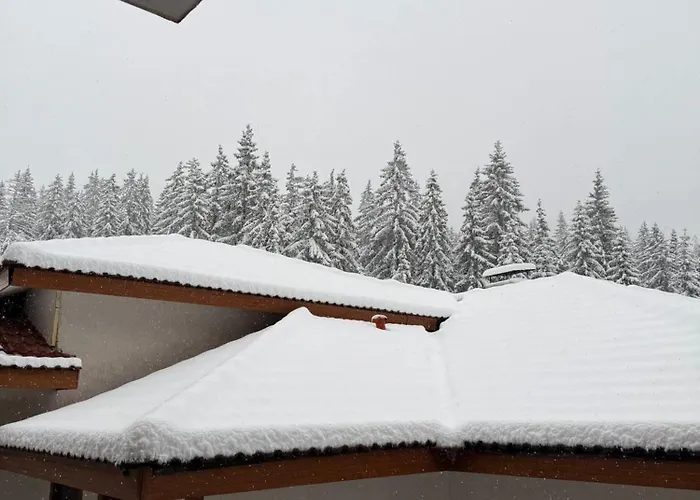 Wood Fireplace Duplex Near - Parking, Sleeps 6 Apartment