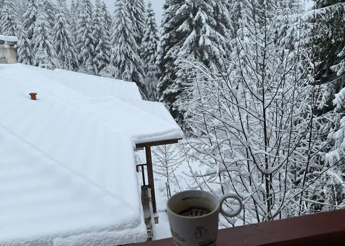 Wood Fireplace Duplex Near - Parking, Sleeps 6 Apartment